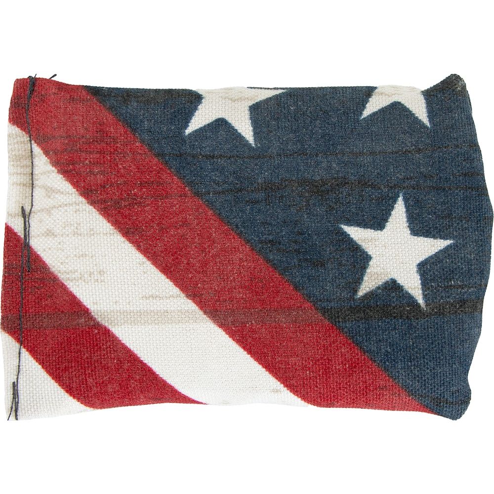 Dynamic Discs Dirt Bag - USA