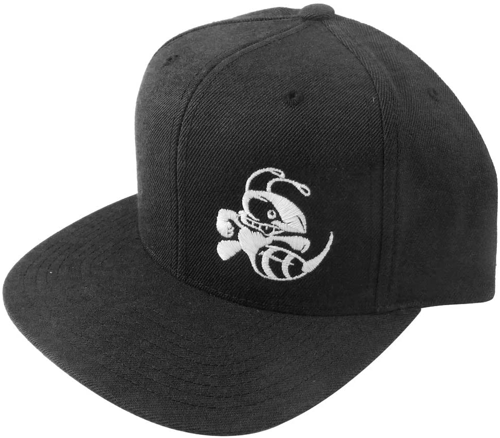 Discraft Snapback Hat Buzzz - Black - Discraft