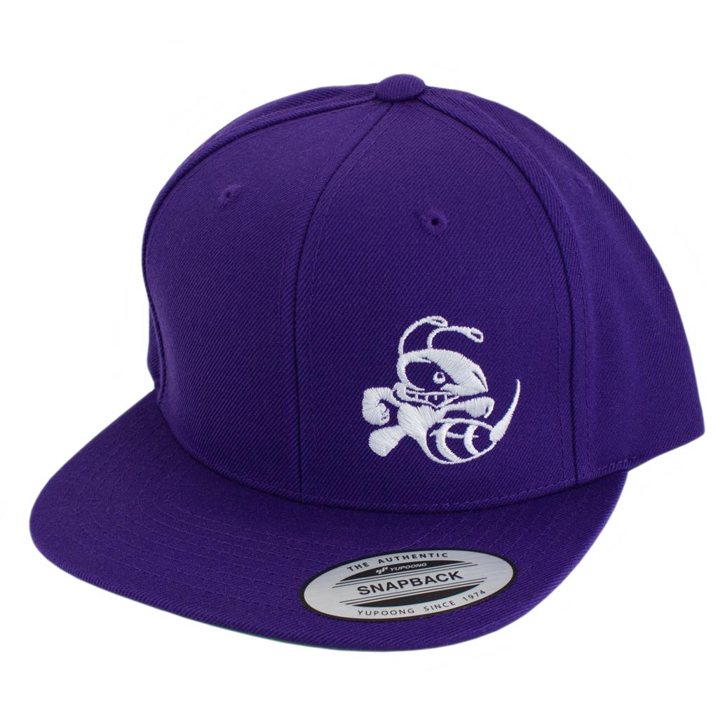 Discraft Snapback Hat - Buzzz Design