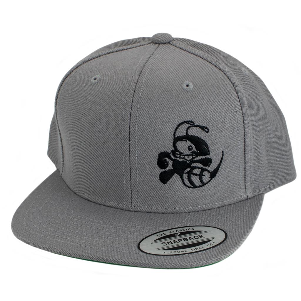 Discraft Snapback Hat - Buzzz Design