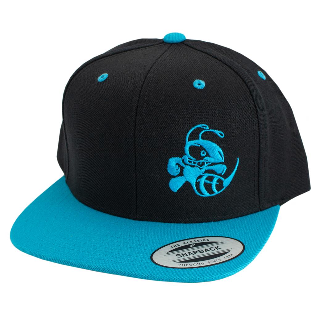 Discraft Two Tone Snapback Hat - Buzzz Design