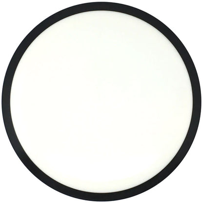 MVP Neutron Terra Disc White Blank